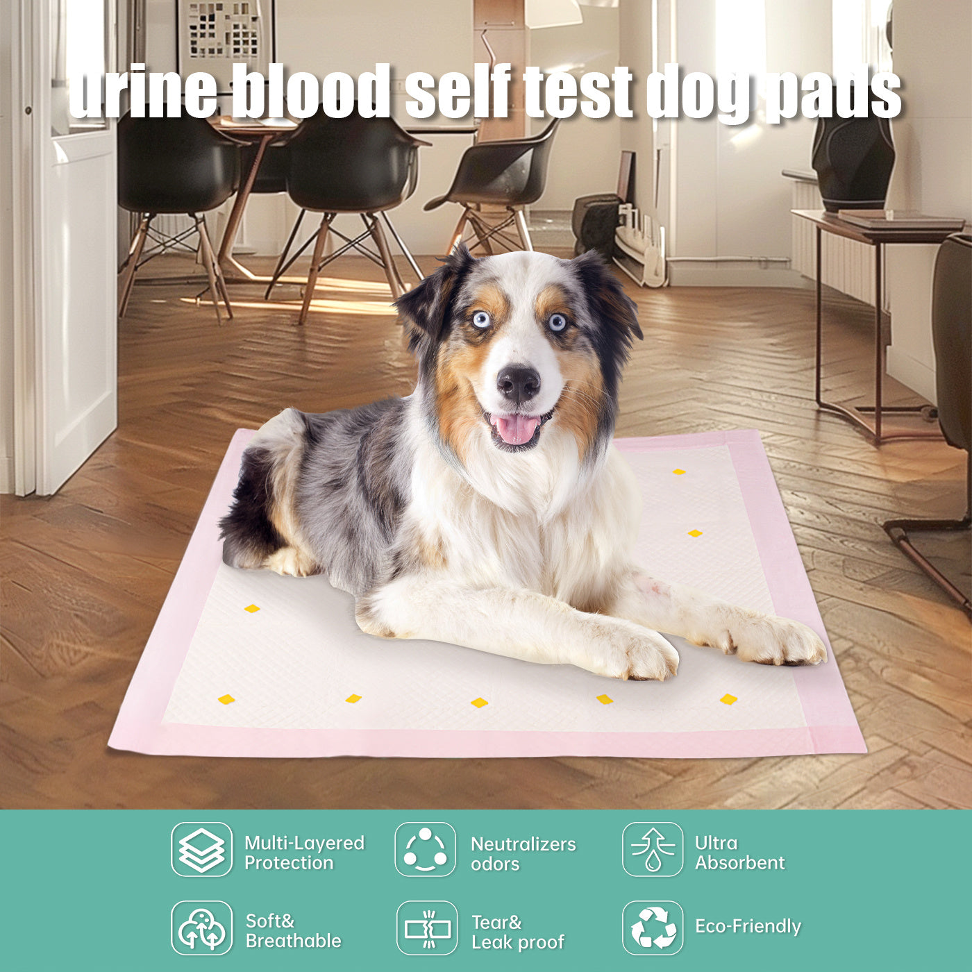 Blood Detection Urine Pad For Dogs